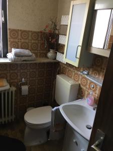 a bathroom with a toilet and a sink and a mirror at Ferienwohnung Dippold in der fränkischen Schweiz in Heiligenstadt