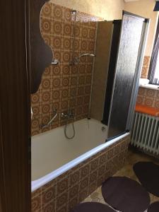 a shower with a glass door in a bathroom at Ferienwohnung Dippold in der fränkischen Schweiz in Heiligenstadt