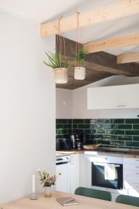 uma cozinha com dois vasos de plantas pendurados no tecto em Lytte Hytte - Ferienhaus Wingst em Wingst