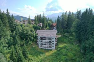 A bird's-eye view of Nature House Predeal