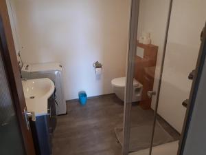 ein Bad mit WC und Glastür in der Unterkunft Ferienwohnung Nicole in Isny im Allgäu