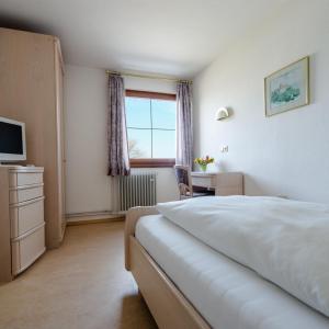 Schlafzimmer mit einem Bett, einem Schreibtisch und einem Fenster in der Unterkunft Landhotel Bodensee in Konstanz