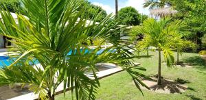 Bazén v ubytování Pousada Villages Boutique Hotel - 150m da Praia da Laje nebo v jeho okolí