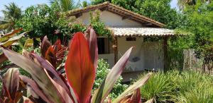 Zahrada ubytování Pousada Villages Boutique Hotel - 150m da Praia da Laje
