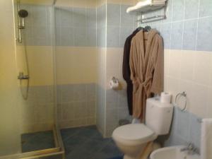 a bathroom with a toilet and a shower at Guest House Golden Flake 4km from Bolata beach in Bŭlgarevo