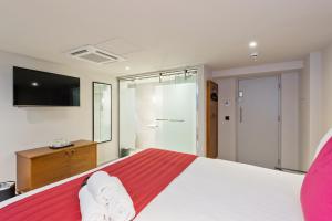 TV a/nebo společenská místnost v ubytování Templebar Rooms + 33 fotografií