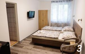a bedroom with a bed and a television at Ubytování v Brně in Brno