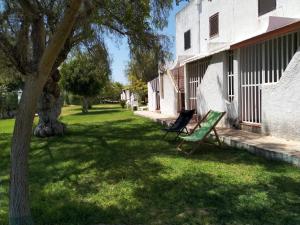 a green bench sitting in the grass next to a building at Apartamento Almargem in Conceição