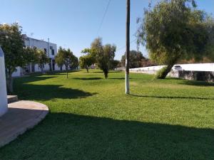 a green yard with trees and a pole in it at Apartamento Almargem in Conceição +3 photos