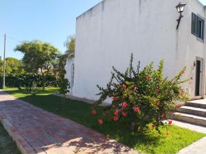 a bush with red flowers next to a building at Apartamento Almargem in Conceição