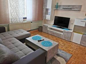 a living room with a couch and a tv at Ferienwohnung am Thayatalradweg in Schwarzenau