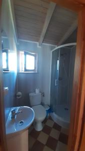 a bathroom with a toilet and a shower and a sink at 2 Bursztyny in Rusinowo