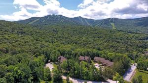 an aerial view of a forest with mountains in the background at Ski home on the trail from Showshed! Or take the free shuttle A2 in Killington
