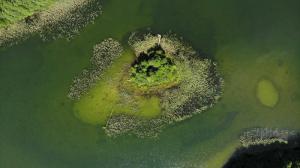 uma vista aérea de uma pequena ilha na água em Eko-Fish em Miastko