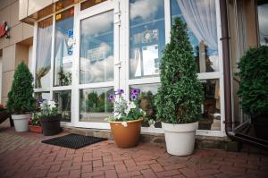 a store with potted plants in front of a window at Avto Spa in Khmelnytskyi