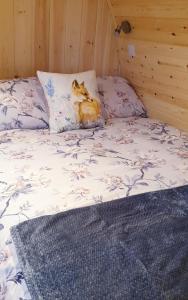 een kat die op een bed ligt bij Lilly's Lodges Orkney Hedgehog Lodge in Finstown