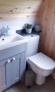 a bathroom with a toilet and a sink at Lilly's Lodges Orkney Hedgehog Lodge in Finstown