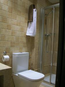 a bathroom with a shower with a toilet and a shower at Apartamentos San Gregorio in Alquézar