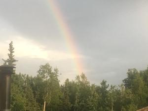 um arco-íris no céu sobre algumas árvores em FireWeed RoadHouse em Nenana