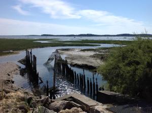 een waterlichaam met een hek erin bij Appart Terrasse Végétale bord Plages bassin in Arès