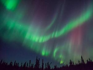 una imagen de la aurora boreal en el cielo en FireWeed RoadHouse, en Nenana