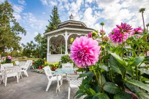 Wedgewood Resort في فيربانكس: شرفة مع كراسي بيضاء وورود وردية
