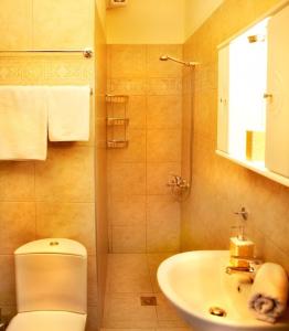 a bathroom with a toilet and a sink at Avra Apartments in Neos Marmaras