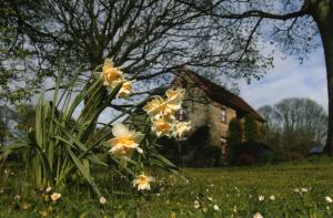 The building where the bed & breakfast is located 