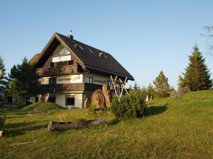 a large wooden house on top of a hill at Sportgasthof Lipp in Lederwinkel