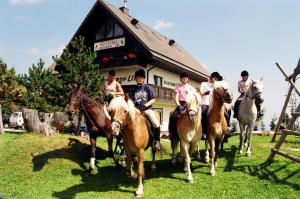 Gallery image of Sportgasthof Lipp in Lederwinkel