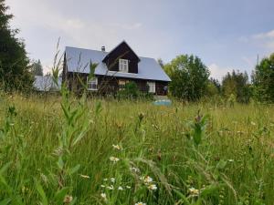 a house in the middle of a field of grass at Chata góralska Wojtasówka in Kamesznica