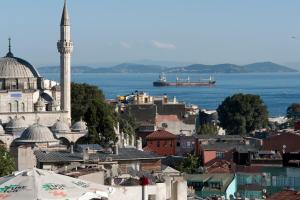 vistas a una ciudad con una mezquita y el agua en Aslan Apartments, en Estambul