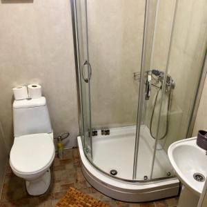Un baño con ducha, inodoro y lavabo. en HB apartments Pushkin, en Tiflis 15 fotos más