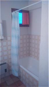 バルボタン・レ・テルムにあるAbc Fleur De Gascogneのバスルーム(バスタブ、シャワーカーテン付)