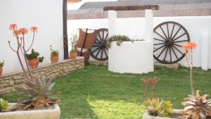 A garden outside Habitaciones Sajorami Beach