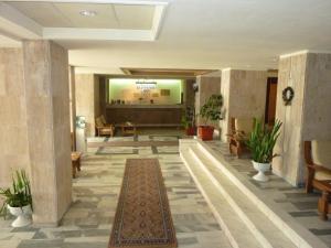 Vstupní hala nebo recepce v ubytování Hotel Sarmis