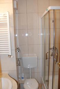 Koupelna v ubytování Hotel Sarmis
