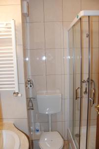 uma casa de banho com um WC e uma cabina de duche em vidro. em Hotel Sarmis em Deva