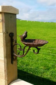 Afbeelding uit fotogalerij van Lilly's Lodges Orkney Butterfly Lodge in Finstown