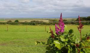 Afbeelding uit fotogalerij van Lilly's Lodges Orkney Butterfly Lodge in Finstown