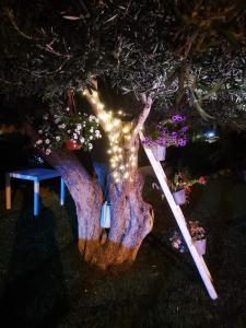 a tree with lights on it with a bench and flowers at Beb oasi marina in Campofelice di Roccella
