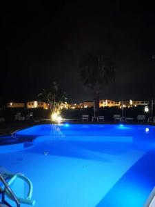 a swimming pool at night with blue lights at Beb oasi marina in Campofelice di Roccella