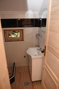 ein kleines Bad mit einem Waschbecken und einem WC in der Unterkunft Apartmani Kod Draskovica in Nikšić