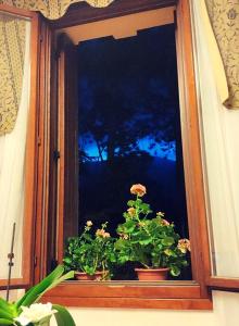 uma janela com dois vasos de plantas no parapeito da janela em Villa Scalabrini em Crespano del Grappa
