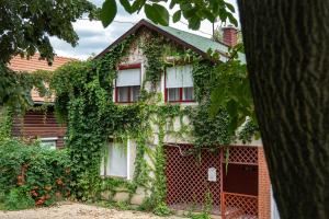 Gallery image of Vadszőlő Apartmanház Gyomaendrőd in Gyomaendrőd