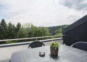 ヴィンターベルクにあるAppartement Brink Am Waltenberg 70のバルコニーに花のバスケット付きテーブル