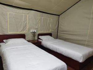 two beds in a tent in a room at Ourguest Camp Lachung in Lachung