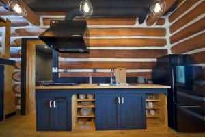 志摩市にあるログ ハウス 志摩のキッチン(青いキャビネット、黒い冷蔵庫付)
