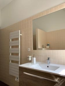 een badkamer met een wastafel en een spiegel bij Le Donjon d'Anthon in Anthon