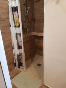 a shower with a shower curtain in a bathroom at L Appicciu in Ventiseri +6 photos